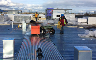 How Heat and Humidity Affect Your Roof and What to Do About It